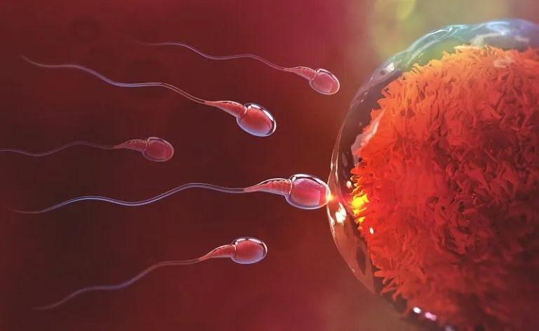 fertility iv