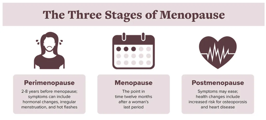 Illustration of menopause stages infographic